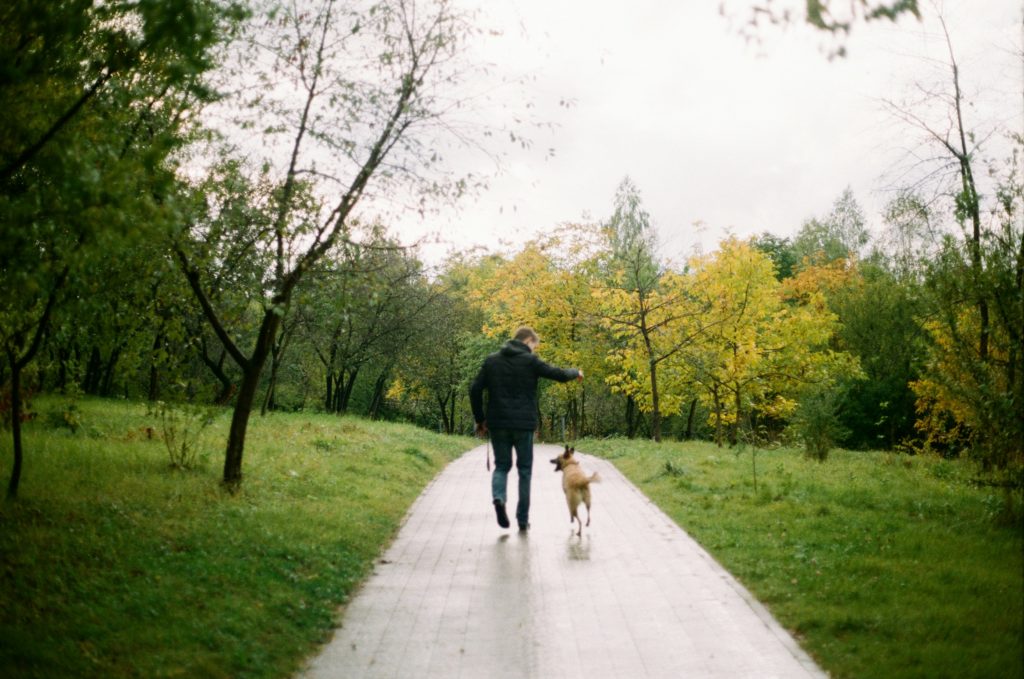 A man walking his dog in a park